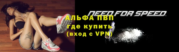 PSILOCYBIN Струнино