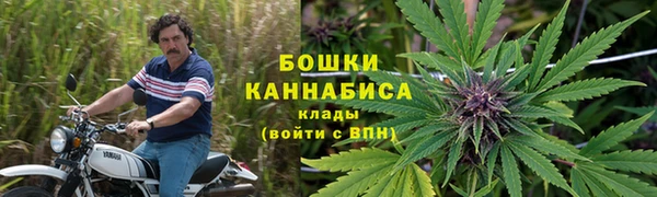 PSILOCYBIN Струнино